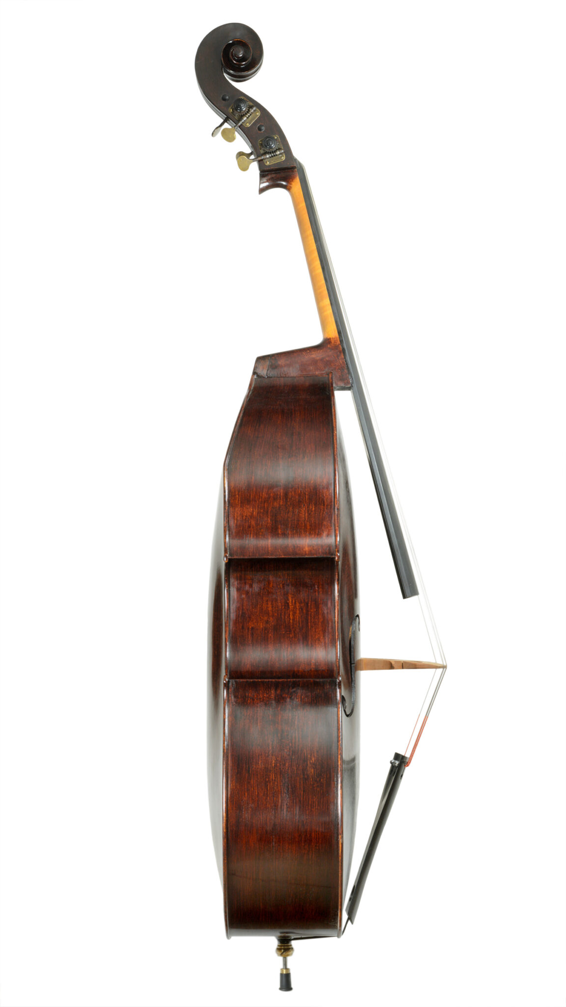 domenico-busan-seite-bass