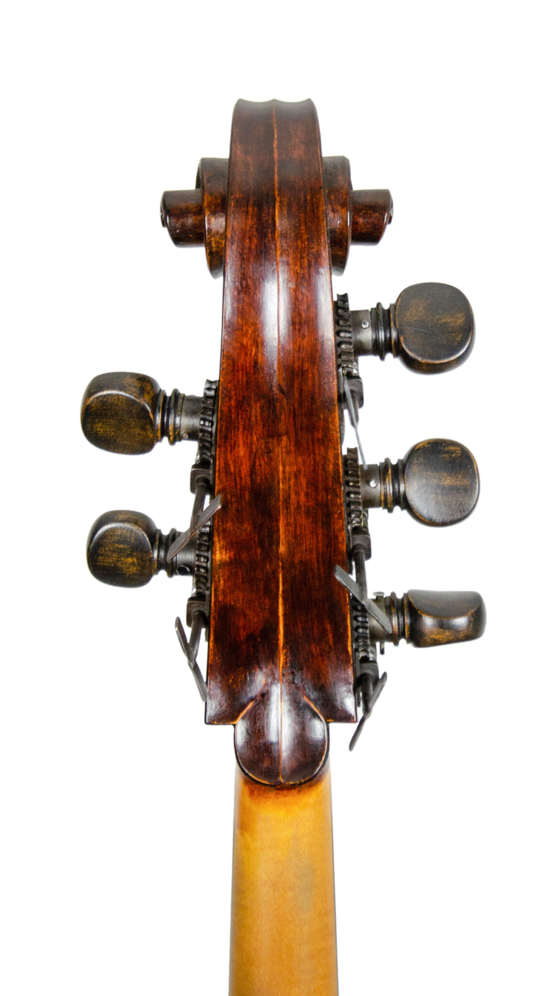ulrich-raemhardt-schnecke-back