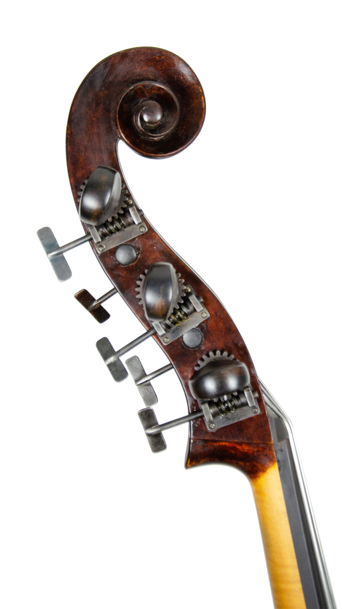 ulrich-raemhardt-schnecke-bass