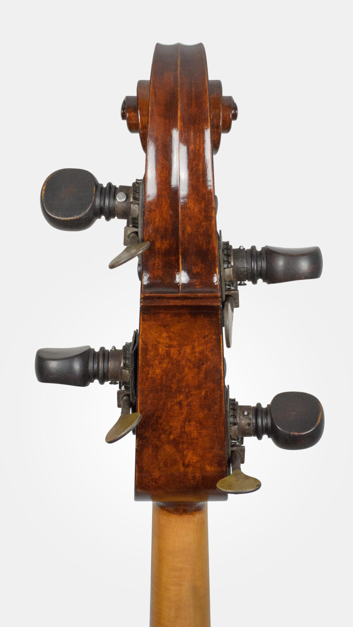 klaus_zuckerstaetter_solo_schnecke2