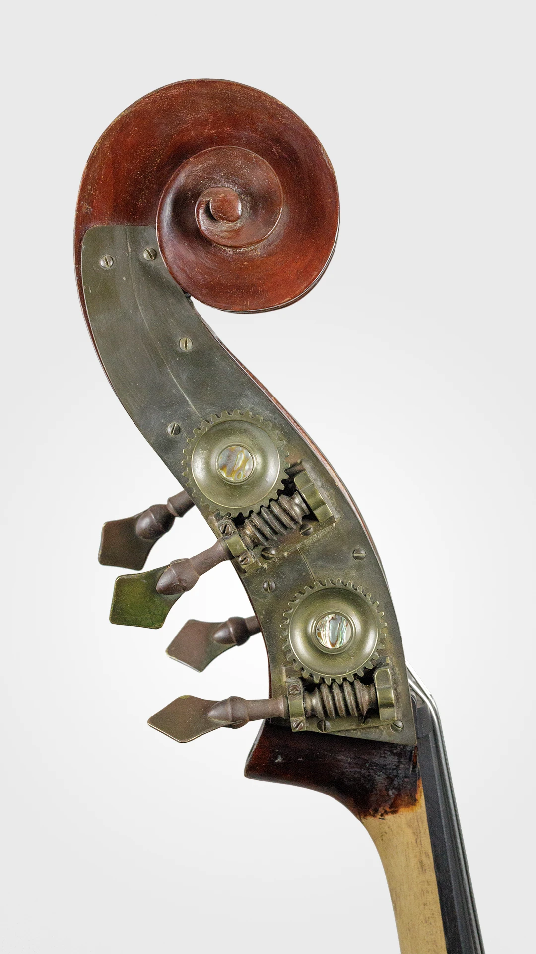 Kontrabass-Schnecke3