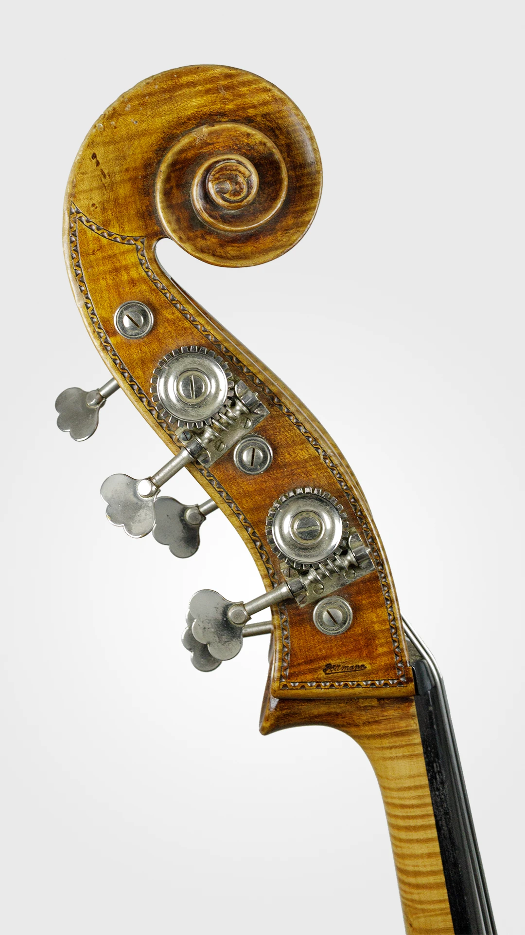 Poellmann-Schnecke3
