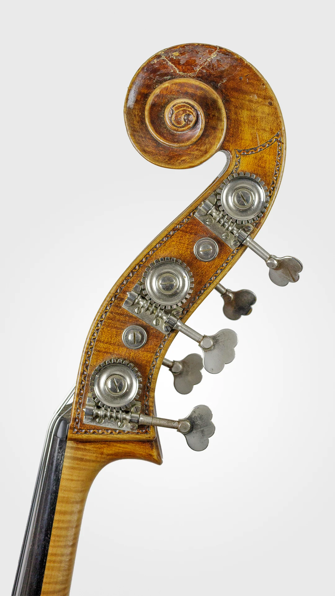 Poellmann-Schnecke4